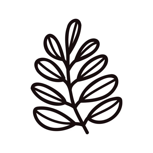 Χειροποίητα Φύλλα Και Κλαδιά Από Την Πάνω Όψη Στυλ Doodle — Διανυσματικό Αρχείο