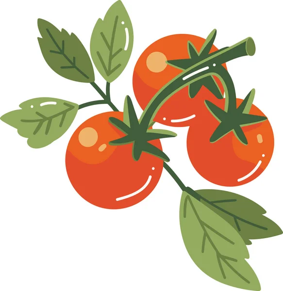 手绘番茄 分枝扁平 背景隔离 — 图库矢量图片