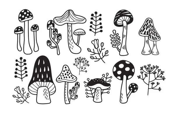 Hand Drawn Mushrooms Poisonous Mushrooms Flat Style Isolated Background — Stock Vector