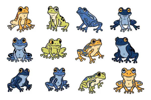 Series Different Colored Frogs Shown Various Poses Frogs All Different — Stock Vector