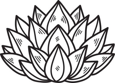 Saplı bir çiçeğin siyah beyaz çizimi. Çiçek büyüktür ve çok detaya sahiptir. Çizimin çok basit ve zarif bir tarzı var.