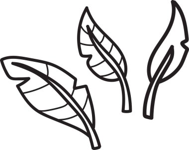 Üç siyah beyaz yaprak sapı. Sapları ince ve uzun.