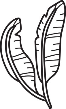 Siyah çizgili yapraklı bir bitki. Yaprak, kalın bir gövde ve birçok küçük yaprakla stilize edilmiş bir şekilde çizilir. Sahne sakin ve sakin, yapraklı bitki büyümeyi ve yaşamı temsil ediyor.