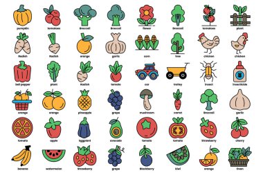 Çeşitli renk ve şekillerde meyve ve sebze koleksiyonu. Zenginlik ve tazelik kavramı