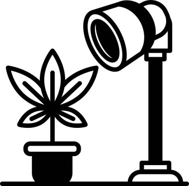 Lambanın yanındaki tencerede bir bitki oturuyor. Bitki küçük, yeşil yapraklı bir bitki.