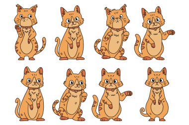 Bir dizi siyah beyaz kedi çizimi ve pençesini kaldıran bir kedi. Kedilerin hepsi farklı boyutlarda ve pozlarda ama hepsi aynı merak ifadesine sahipler.