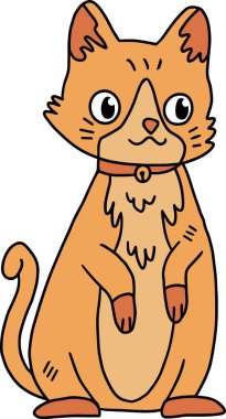 Tasmalı bir kedi yerde oturuyordu. Kedi yüzünde bir gülümsemeyle kameraya bakıyor.