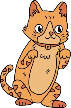 Tasmalı bir kedi yerde oturuyordu. Kedi yüzünde bir gülümsemeyle kameraya bakıyor.