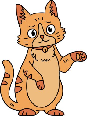 Tasmalı bir kedi yerde oturuyordu. Kedi yüzünde bir gülümsemeyle kameraya bakıyor.