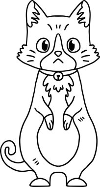 Tasmalı bir kedi yerde oturuyordu. Kedi yüzünde bir gülümsemeyle kameraya bakıyor.