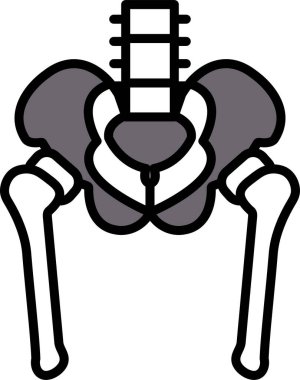 Çizim tarzında bir kalça iskeleti