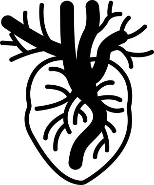 Damarlarıyla bir kalbin siyah beyaz çizimi. Damarlar ayrıntılı olarak gösterilir, bazıları çok ince, bazıları daha kalın.