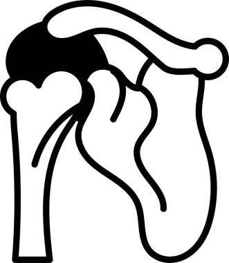 Omuz kemiğinin çizim biçimi.