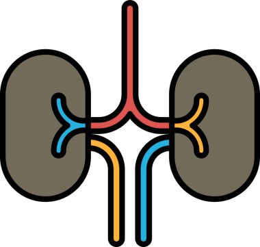 Kırmızı, mavi ve sarı çizgileri olan bir çift böbrek çizimi. Çizim bir çizgi film tarzında ve neşeli, neşeli bir havası var.
