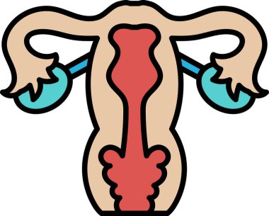 Görüntü, bir kadının üreme sisteminin karikatürü. Çizim renkli ve detaylı, rahim ağzı ve çevresindeki bölgeye odaklı. Sahne bilgilendirici ve eğitici.