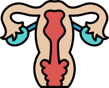 The image is a cartoon of a woman's reproductive system. The drawing is colorful and detailed, with the focus on the cervix and the surrounding area. Scene is informative and educational clipart