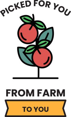 Yaprağın üzerindeki iki elmanın grafiği. Senin için seçilmiş kelimeler.