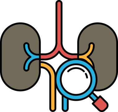 Üzerinde büyüteç olan bir böbrek çizimi. Çizim renkli ve neşeli bir havası var.
