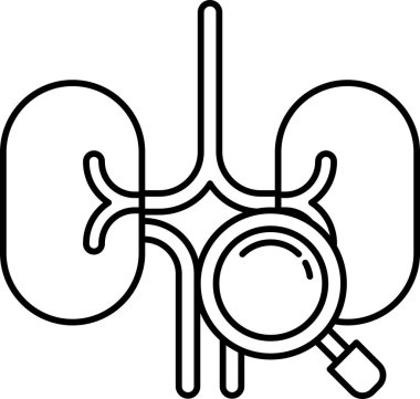 Üzerinde büyüteç olan bir böbrek çizimi.