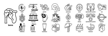 Görüntü tıbbi sembollerin ve ikonların bir koleksiyonu. Semboller arasında bir kalp, bir beyin, bir mide ve bir kemik var. Çizim tarzında sağlık ve refah kavramı