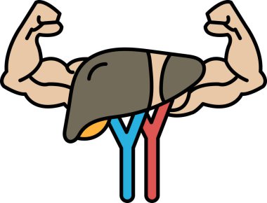 Kaslı bir vücudu ve büyük bir karaciğeri olan bir adamın karikatürü. Karaciğer, kırmızı ve mavi bir organ olarak gösterilir.