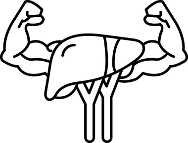 Kaslı bir adam kollarında karaciğer tutuyor. Karaciğer vücuttaki en büyük iç organdır.