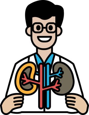 Beyaz laboratuvar önlüklü bir adam böbrek modeli tutuyor. Bilimsel merak kavramı ve insan vücudu hakkında daha çok şey öğrenme arzusu.