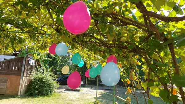 colorful balloons in the garden