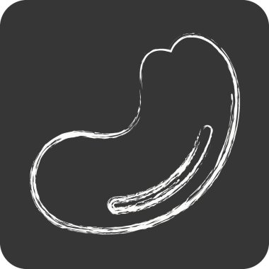 İkon kaju. Fındık sembolü için uygun. Tebeşir stili. Basit dizayn edilebilir. dizayn şablonu