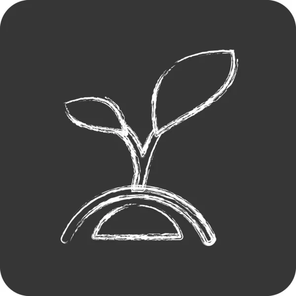 Icono Planta Relacionado Con Símbolo Flora Estilo Tiza Ilustración Simple — Vector de stock