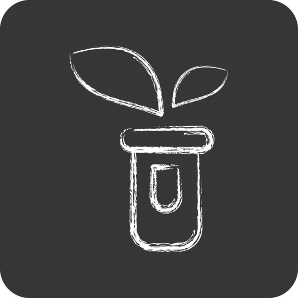 Icon Sprout 与弗洛拉符号有关 粉笔风格 简单的例证 Oak — 图库矢量图片