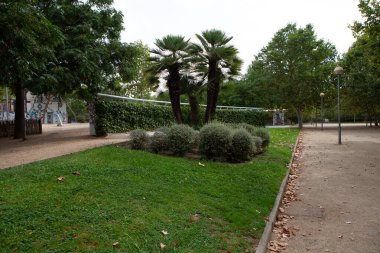 Şehir parkında sabah, parlak güneş ışığı ve gölgeler, güzel manzara. Yüksek kalite fotoğraf
