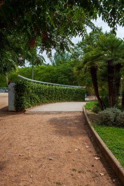 Şehir parkında sabah, parlak güneş ışığı ve gölgeler, güzel manzara. Yüksek kalite fotoğraf