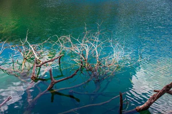 İspanya 'nın Abacete ve Ciudad Real eyaletleri arasındaki Ruidera gölleri. Yüksek kalite fotoğraf