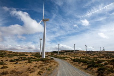 Uzun rüzgar türbinleri yuvarlanan tepelerle çevrili güzel bir manzarada dururlar. Yol, parlak mavi gökyüzünün ve kabarık beyaz bulutların altında gezinerek yenilenebilir enerji sergiliyor..
