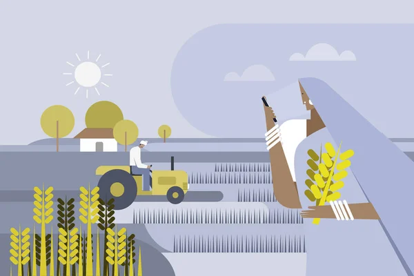 Illustration Einer Indischen Landfrau Einem Landwirtschaftlichen Feld Mit Einem Mobiltelefon — Stockvektor