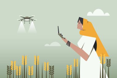 Hintli bir kadın çiftçi tarlada dron kullanarak böcek ilacı sıkıyor.