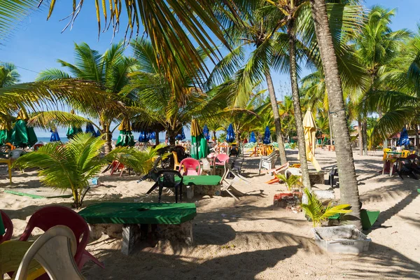 Valenca, Bahia, Brazil - June 23, 2022: View of Praia do Guaibim with its coconut trees and umbrella on a sunny day in the city of Valenca, Bahia.