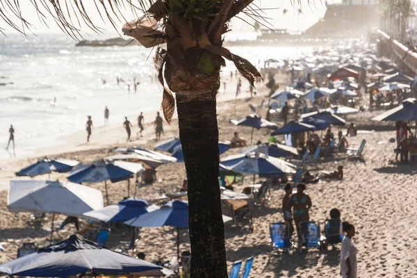 Salvador Bahia Brasile Ottobre 2022 Scena Della Spiaggia Intensa Giornata — Foto Stock