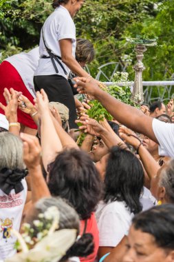 Salvador, Bahia, Brezilya - 26 Mayıs 2016: Katolik ibadet edenler Salvador, Bahia 'daki Corpus Christ kutlamaları sırasında çiçek buketleri toplamaya çalışıyorlar.