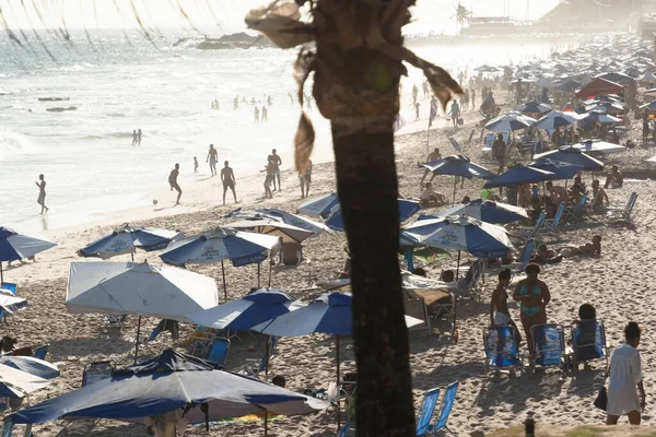 Сальвадор Бахия Бразилия Октября 2022 Года Пляжная Сцена Оживленный Весенний — стоковое фото