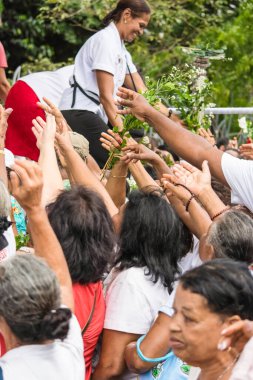 Salvador, Bahia, Brezilya - 26 Mayıs 2016: Katolik ibadet edenler Salvador, Bahia 'daki Corpus Christ kutlamaları sırasında çiçek buketleri toplamaya çalışıyorlar.