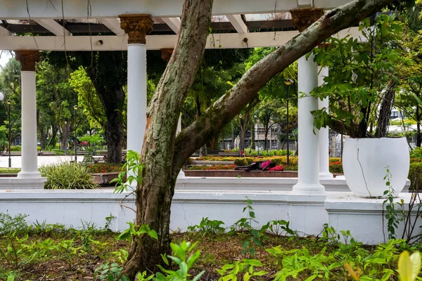 ブラジル バヒア州サルバドール 2022年10月29日 サルバドール市のラルゴ カンポ グランデ内の庭園の中にあるローマの記念碑の眺め — ストック写真