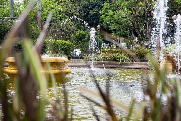 Salvador Bahia Brazil October 2022 View Fountain Leaves Campo Grande — 图库照片