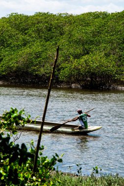 Aratuipe, Bahia, Brezilya - 31 Ağustos 2018: Bahia 'nın Aratuipe kentindeki Jaguaripe nehir yatağında kanosuyla kürek çeken bir balıkçı.