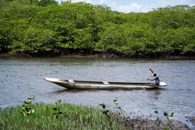 Aratuipe, Bahia, Brezilya - 31 Ağustos 2018: Bahia 'nın Aratuipe kentindeki Jaguaripe nehir yatağında kanosuyla kürek çeken bir balıkçı.