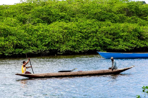 Aratuipe Bahia Brazil August 2018 Two Fishermen Canoe Navigating Jaguaripe — Stock Photo, Image