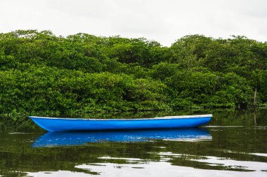 Arkadaki yeşil ormana karşı nehirde duran tekne. Aratuipe, Bahia, Brezilya.