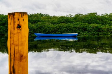 Arkadaki yeşil ormana karşı nehirde duran tekne. Aratuipe, Bahia, Brezilya.