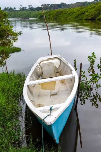Boat Standing River Green Forest Background Aratuipe Bahia Brazil — Stock Photo, Image